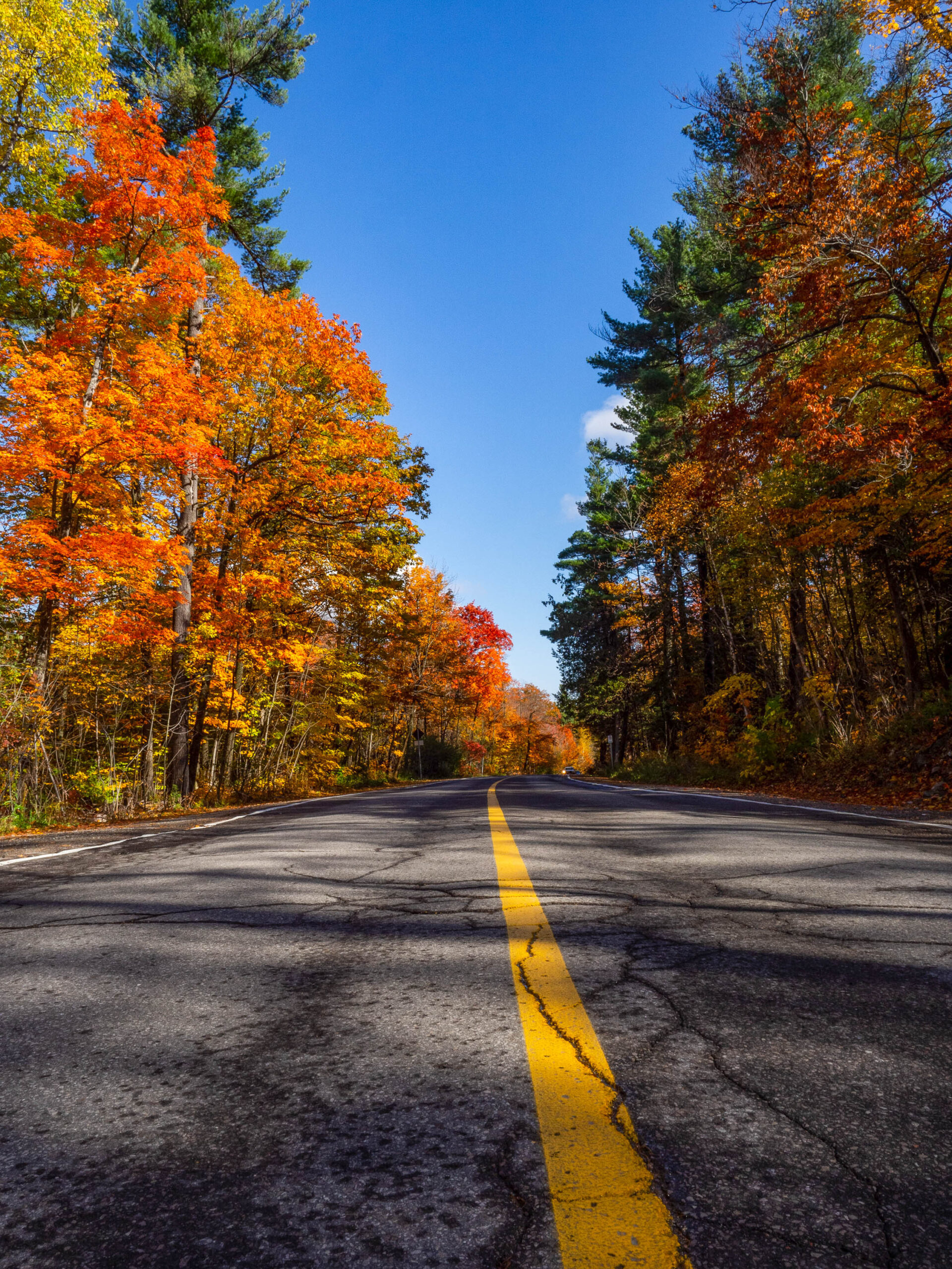 Route du Parc Gatineau pendant l'été indien