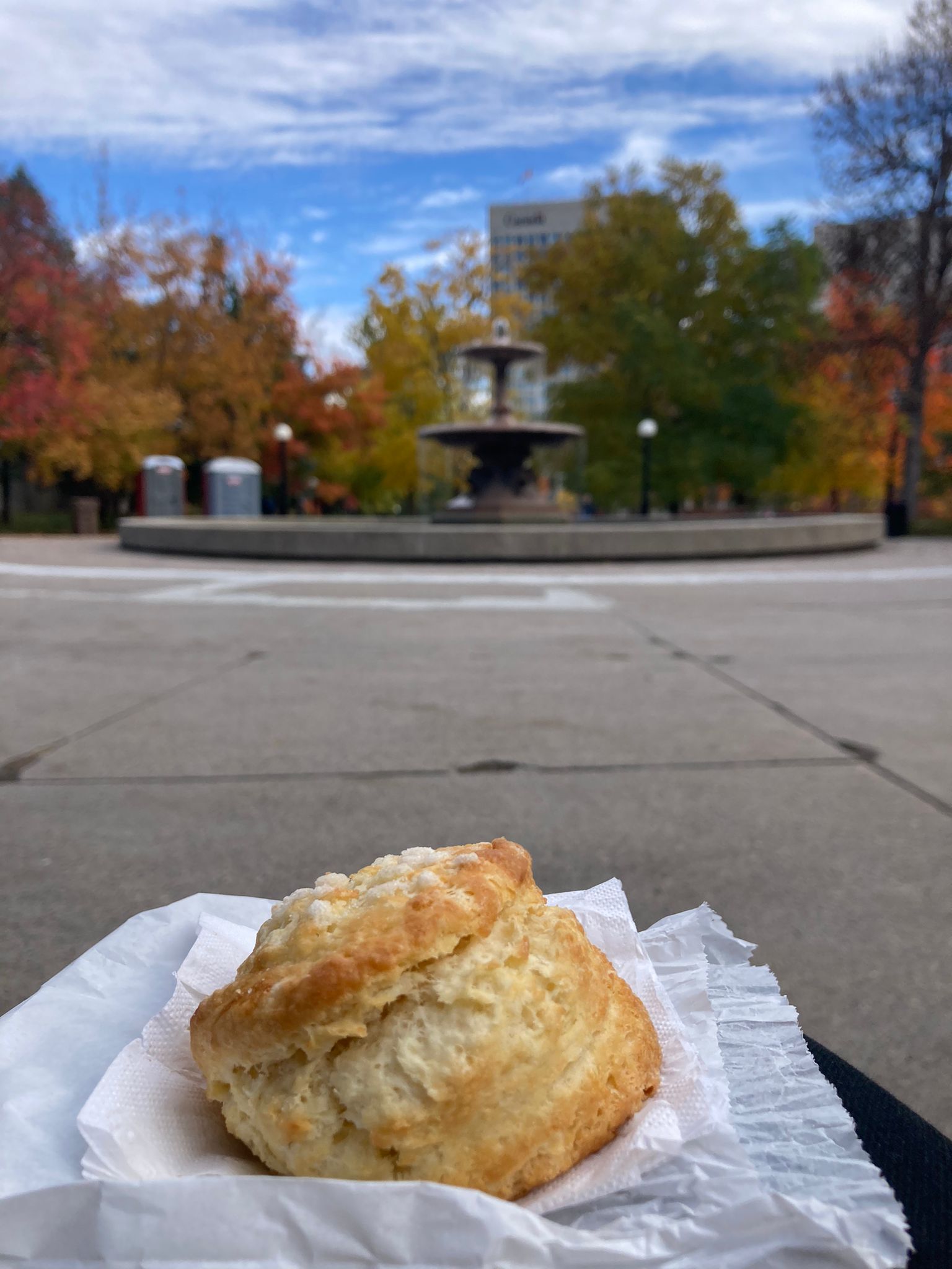 Scone au Parc de la confédération à Ottawa