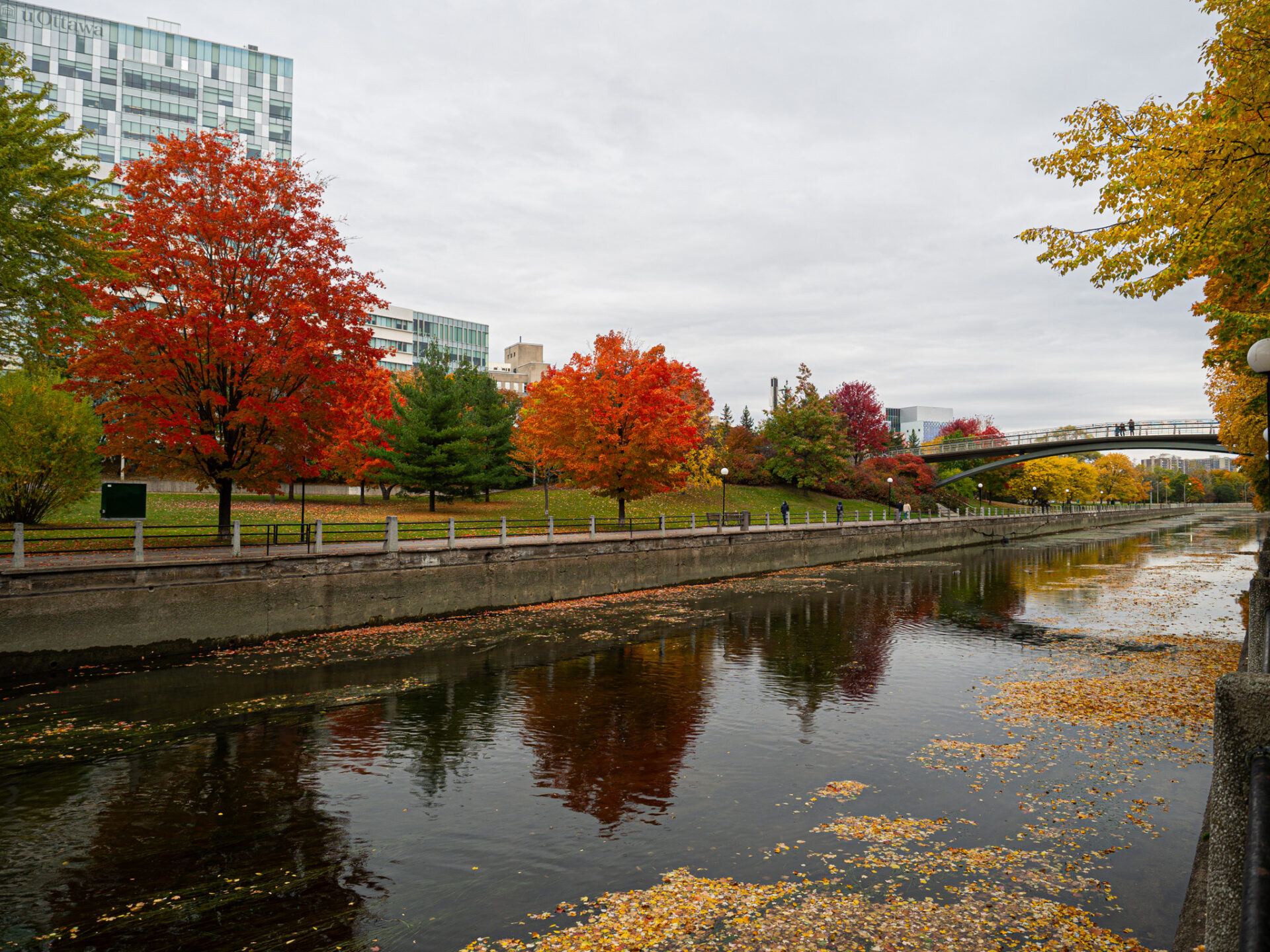 Le canal Rideau à Ottawa au Canada