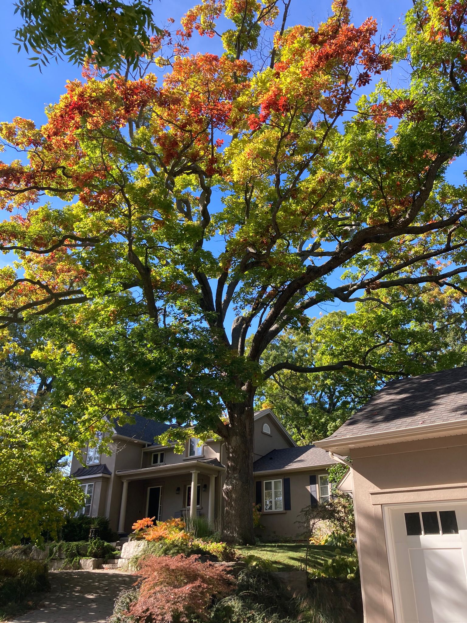 Niagara on the Lake Village Canada