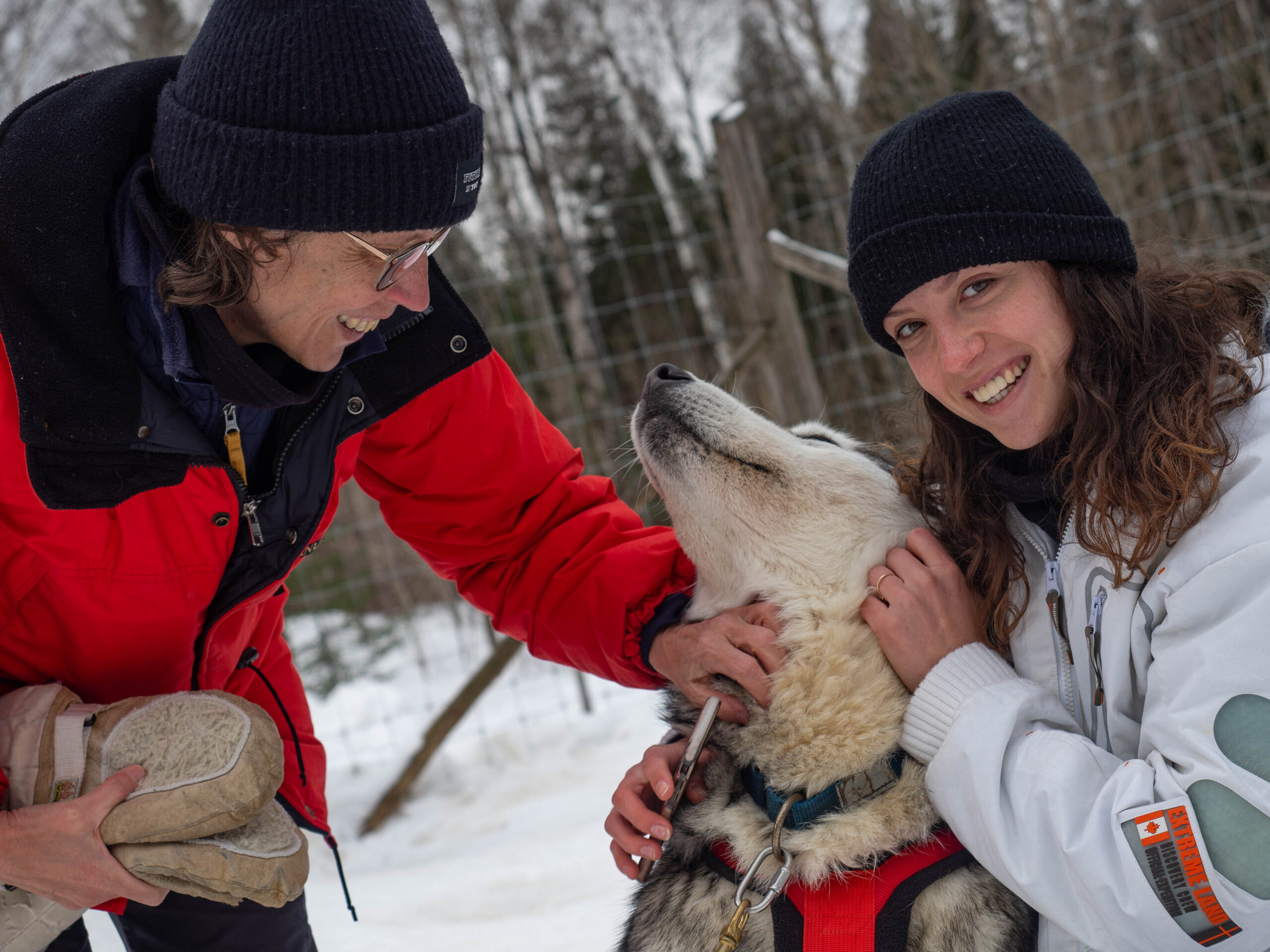 Balade en chien de traîneau Québec