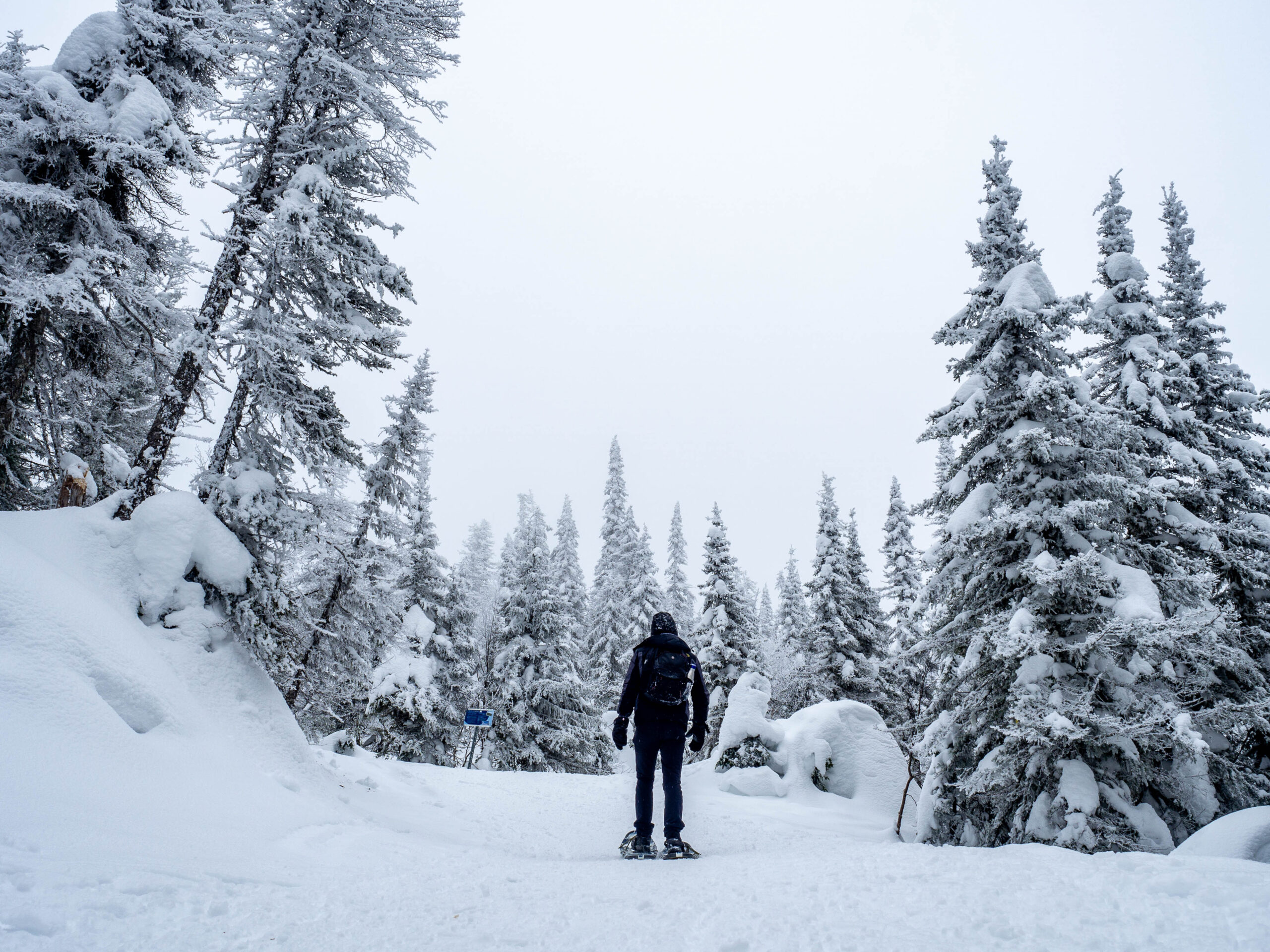 Vallée Fantômes Monts-Valin Québec