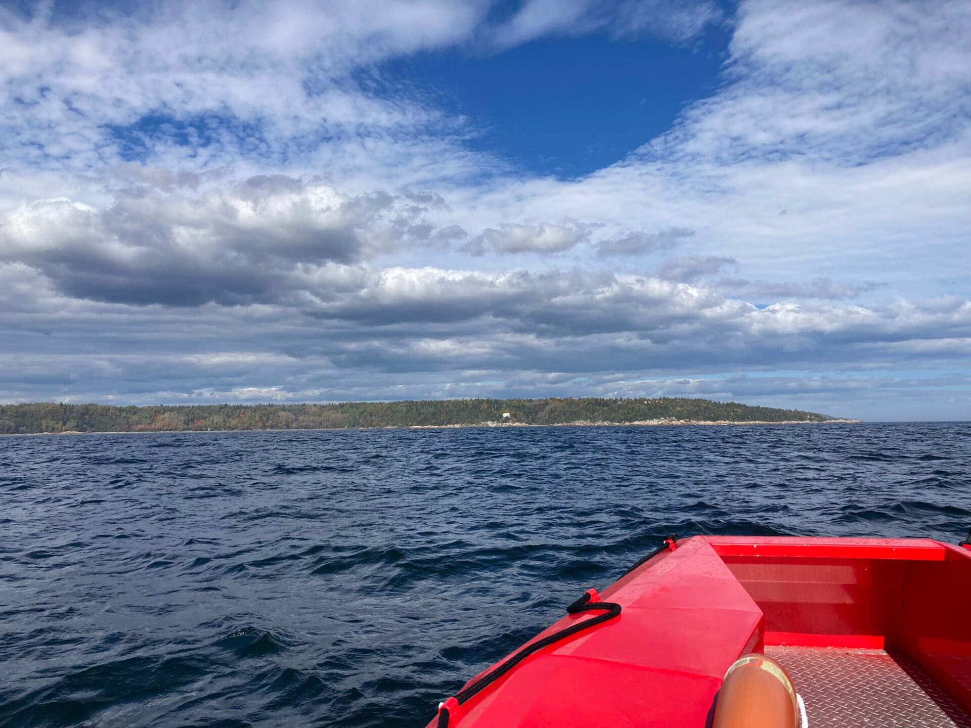 Observation des baleines sur un bateau au milieu d'un lac