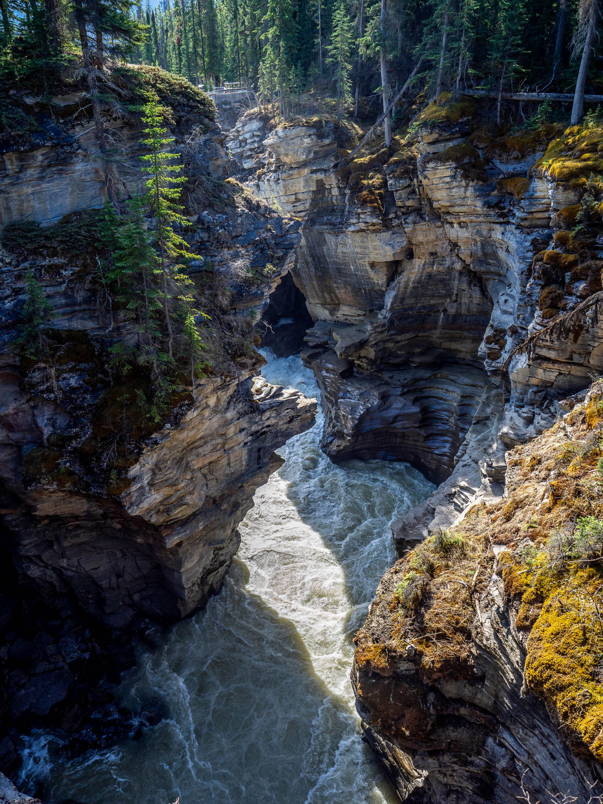 Canyon créés par les Athabasca falls