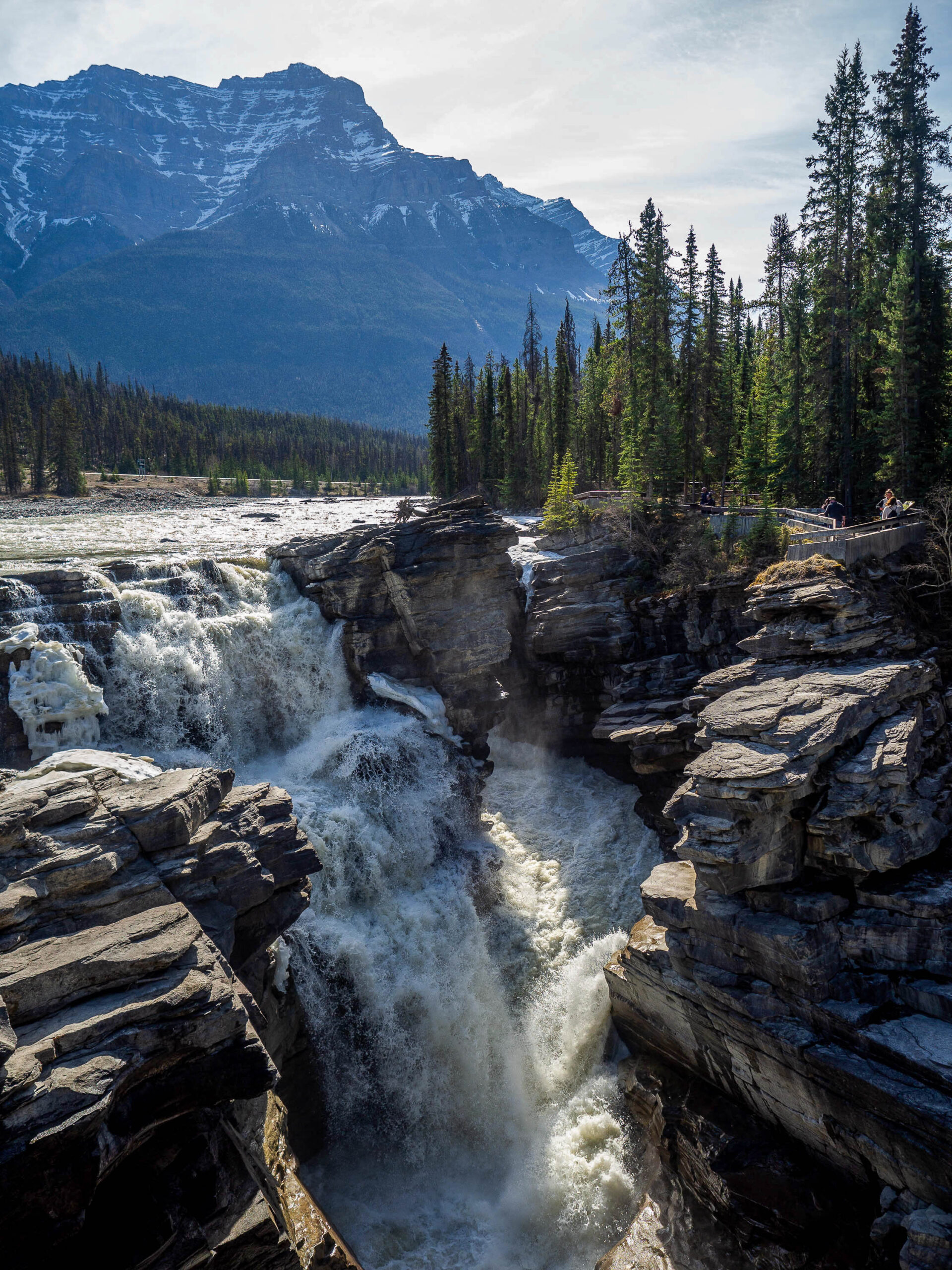 Athabasca falls