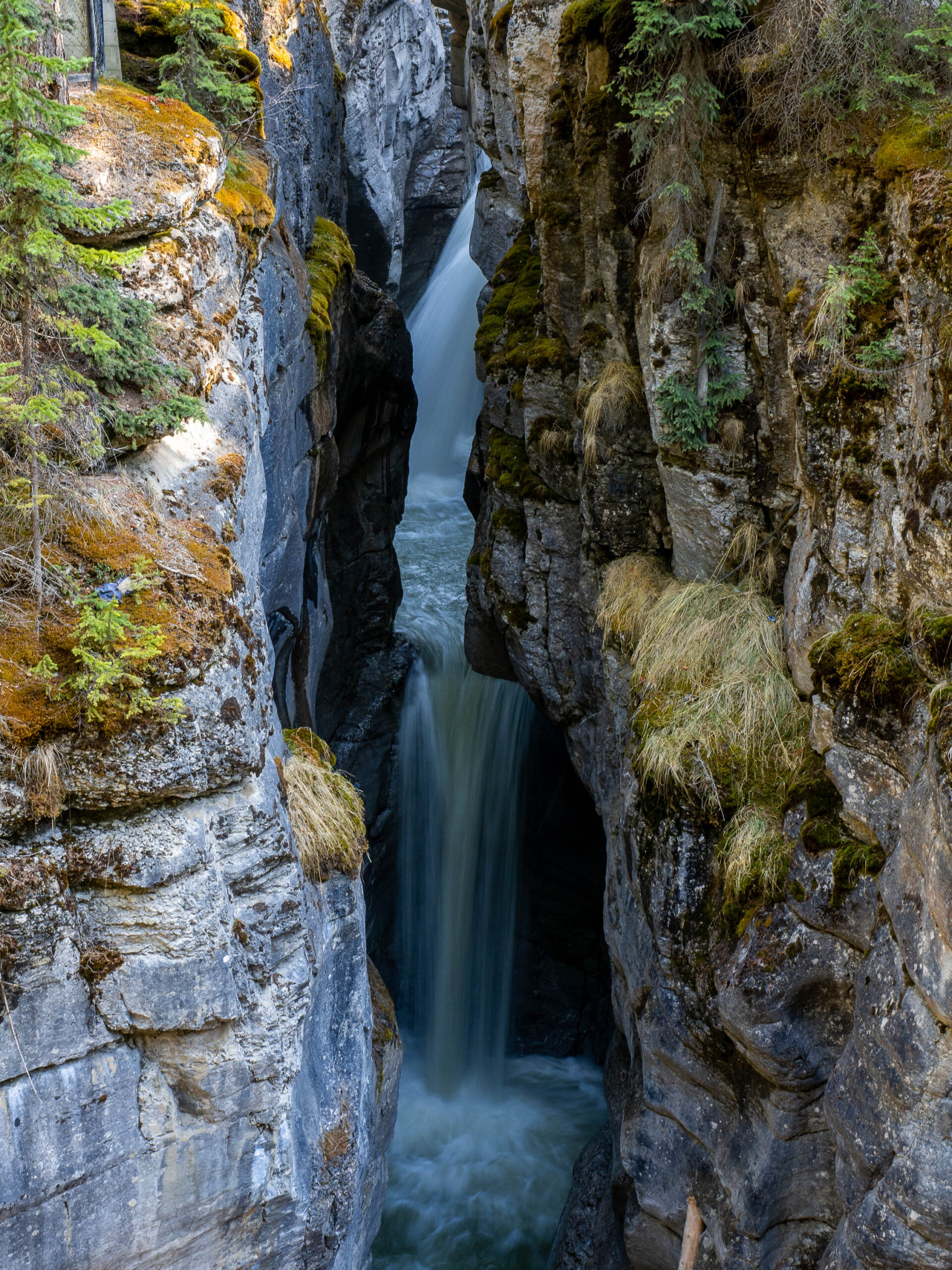 Canyon Maligne du Parc National de Jasper des Rocheuses Canadiennes