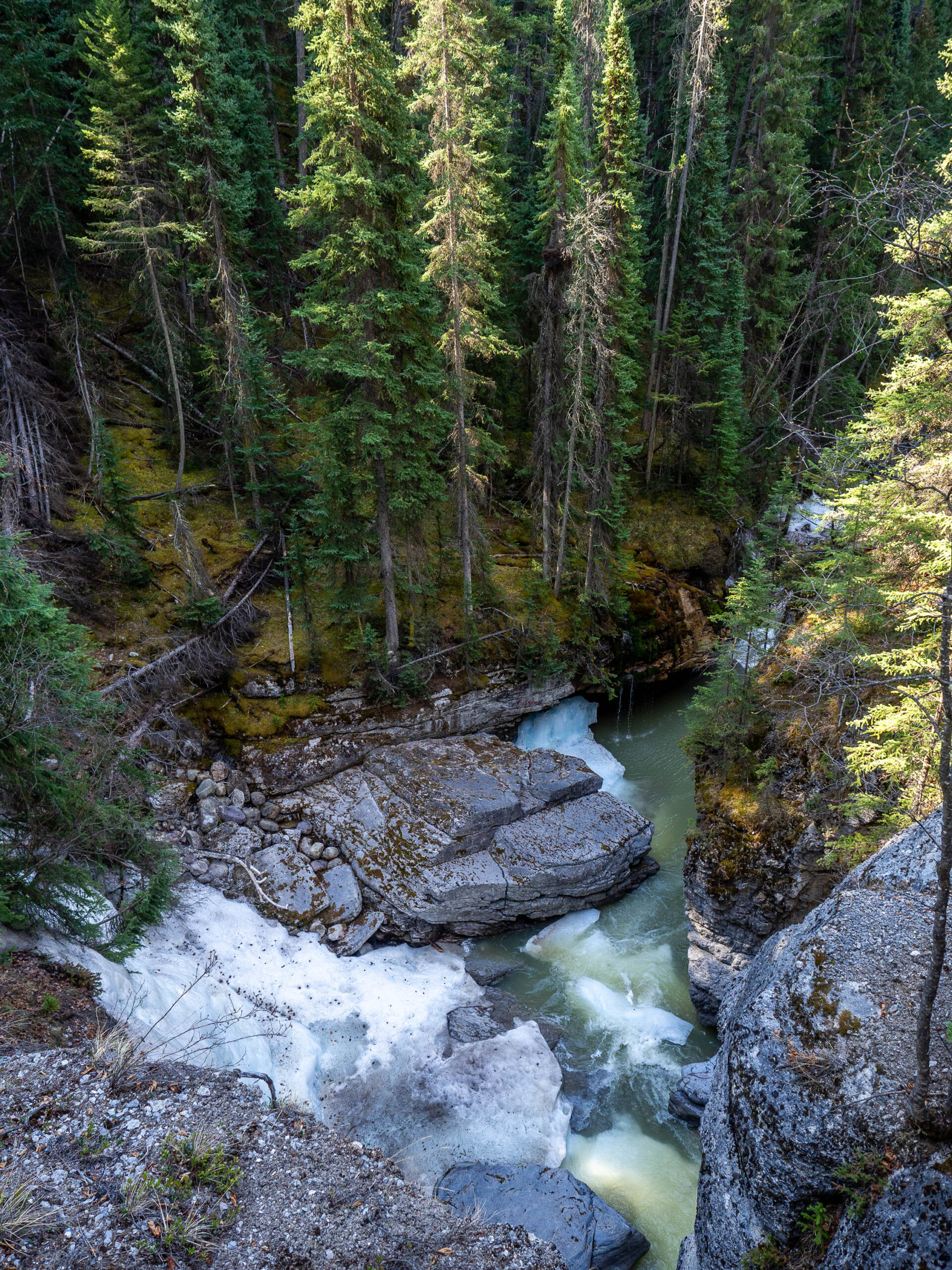 Canyon Maligne aux Rocheuses Canadiennes