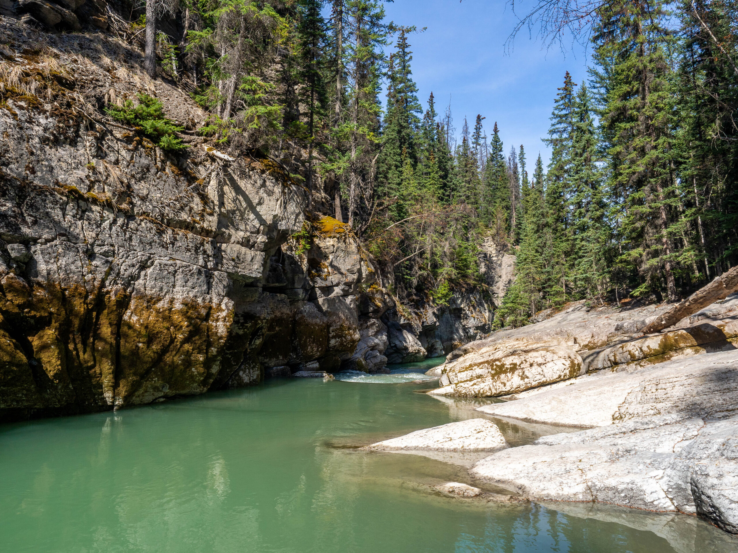 Canyon Maligne aux Rocheuses Canadiennes