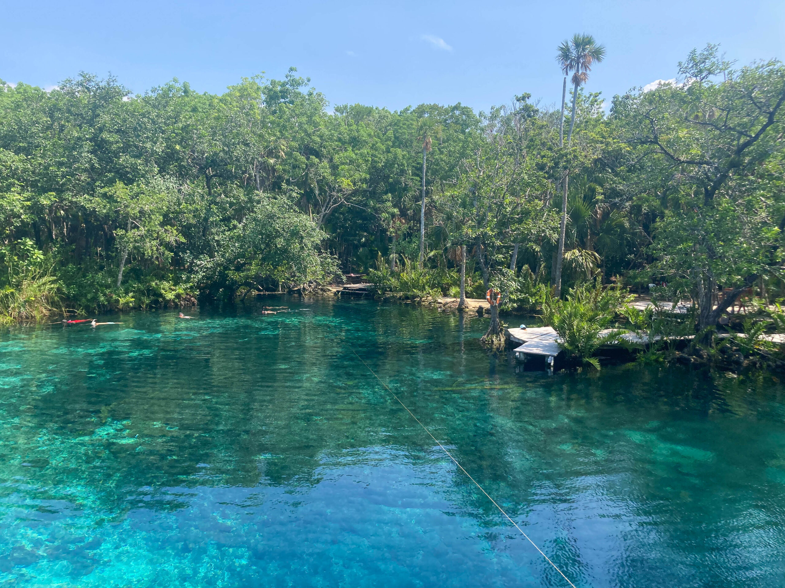 Image de la Cenote Corazon à Tulum au Mexique