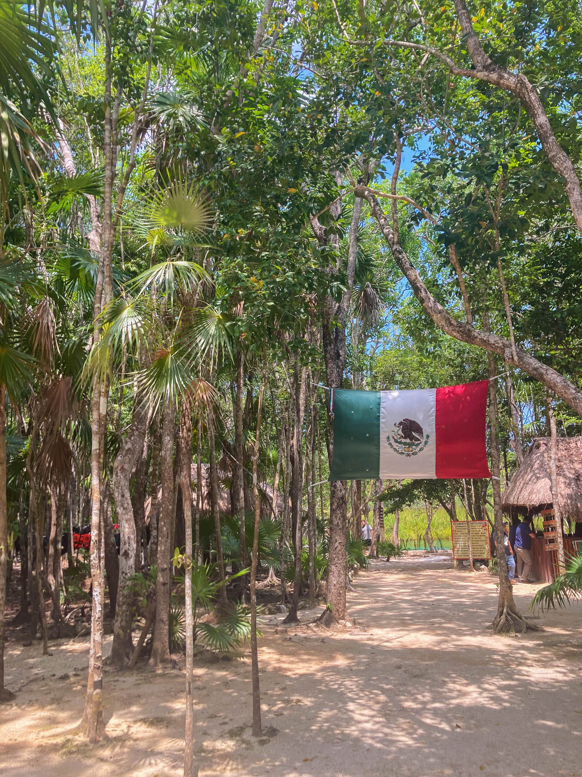 Cenote Corazon au Mexique