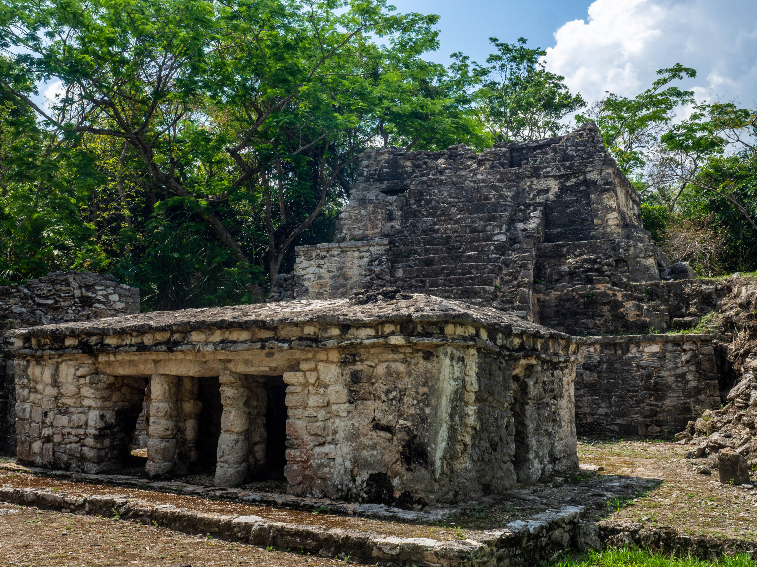 Ruines de Muyil au Mexique