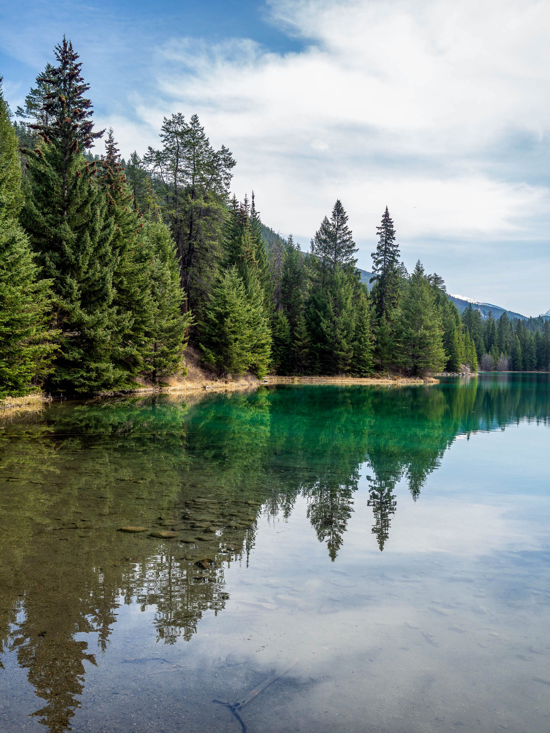 Vallée des 5 lacs - Lac 5 - Jasper - Rocheuses Canadiennes