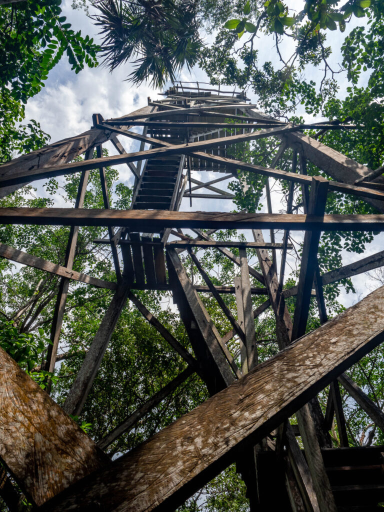 Mirador en plein milieu de la jungle de la Réserve de Sian Ka'an au Mexique