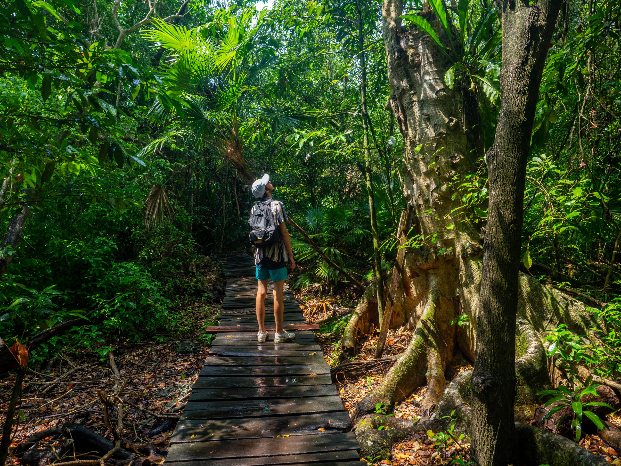 En plein milieu de la jungle de la Réserve de Sian Ka'an au Mexique