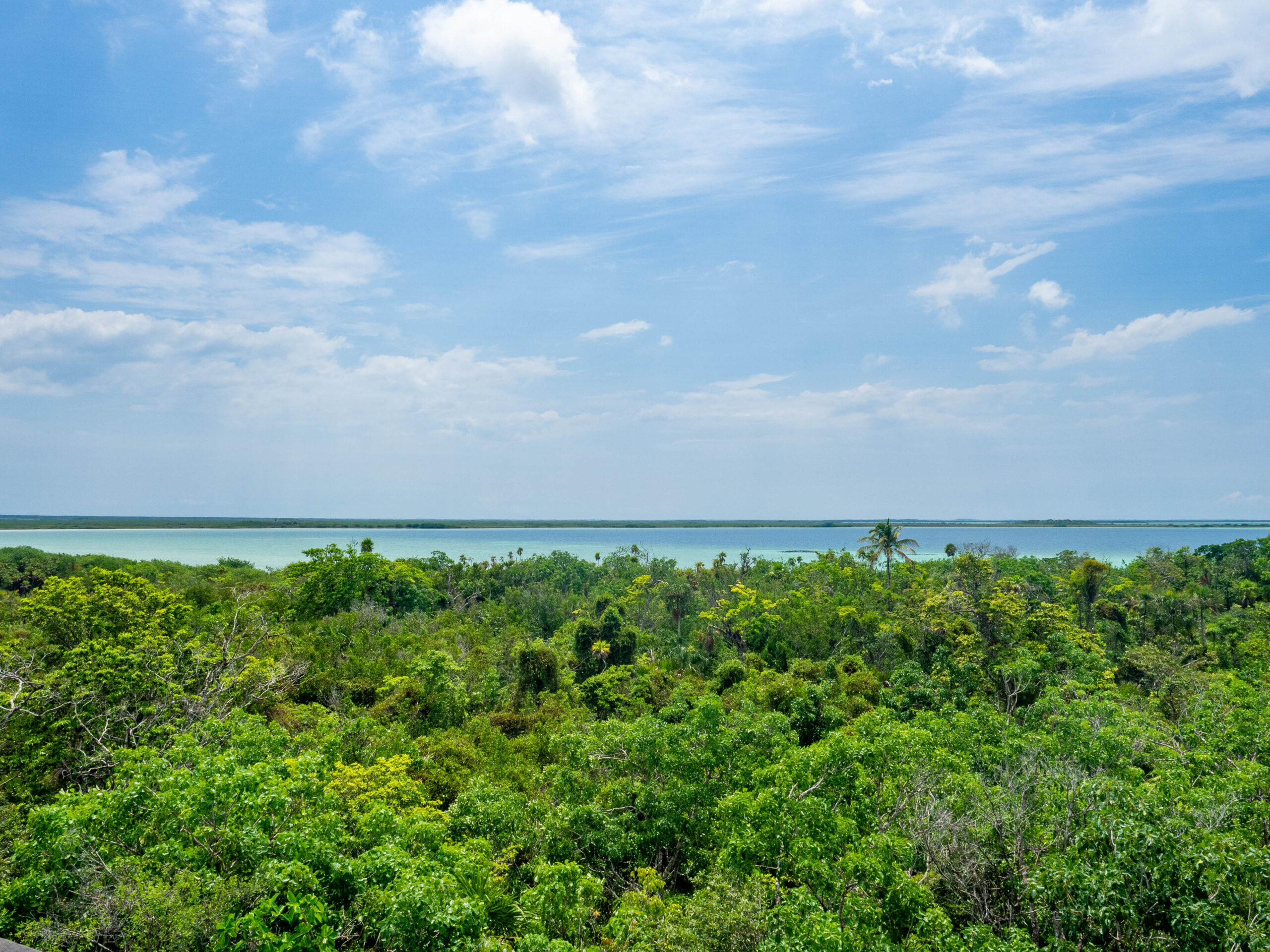 Vue sur la jungle de la Réserve de Sian Ka'an au Mexique