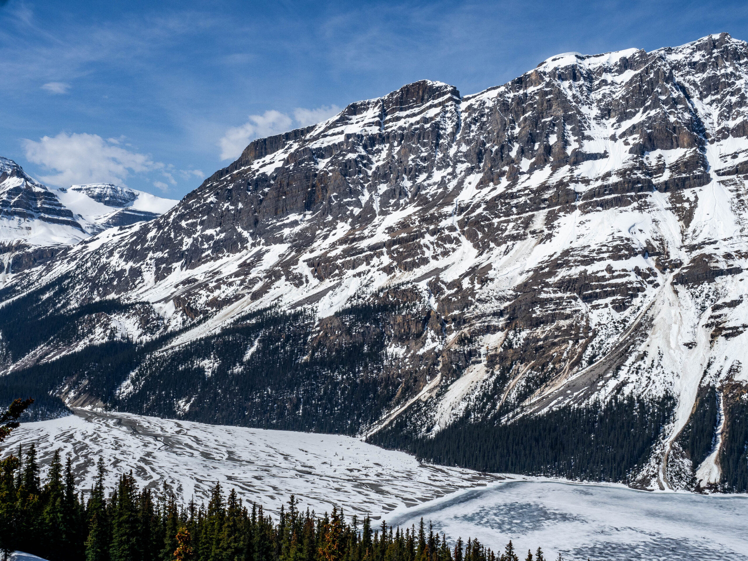 Lac Peyto - Banff - Rocheuses Canadiennes