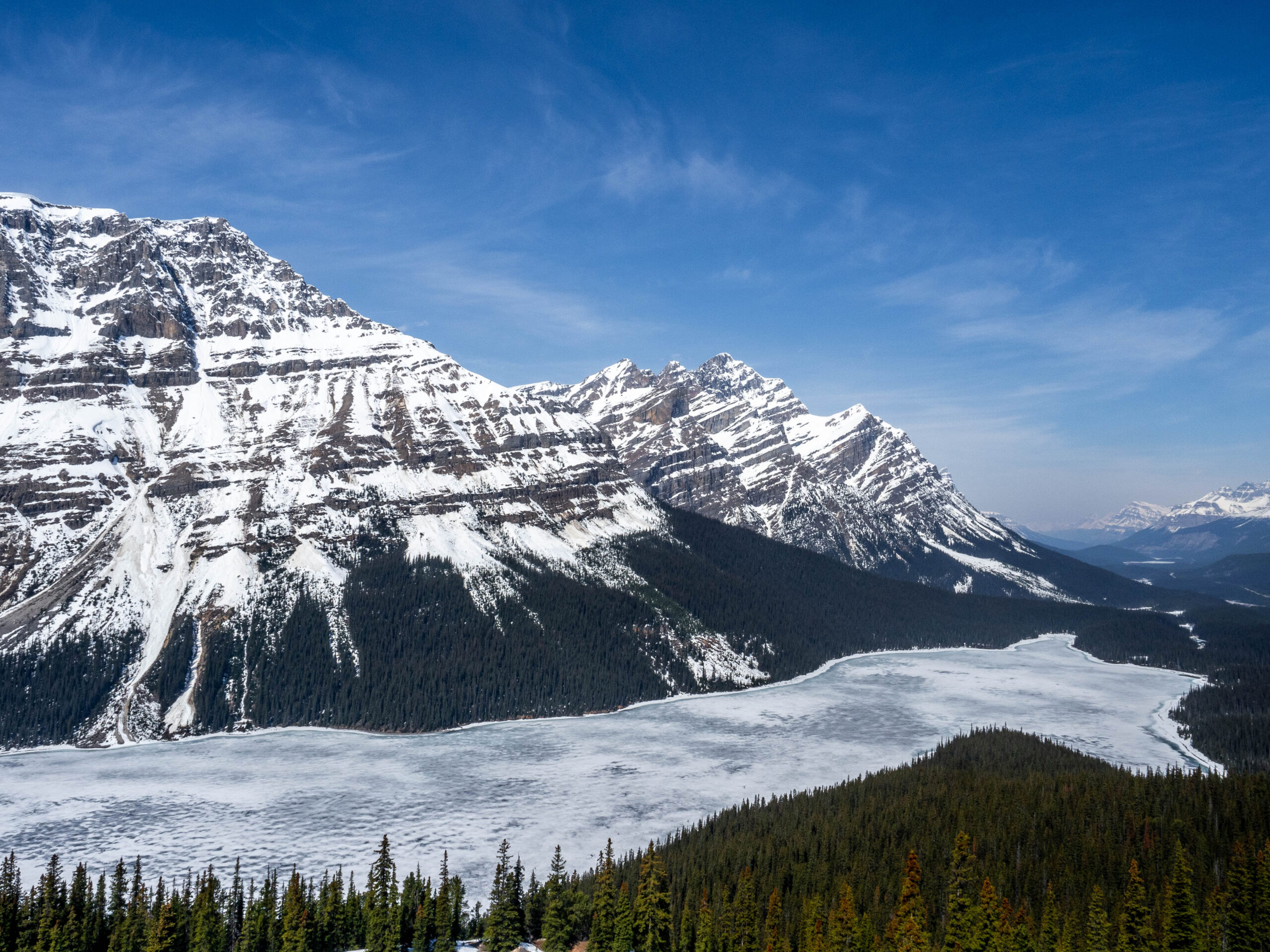 Lac Peyto - Banff - Rocheuses Canadiennes