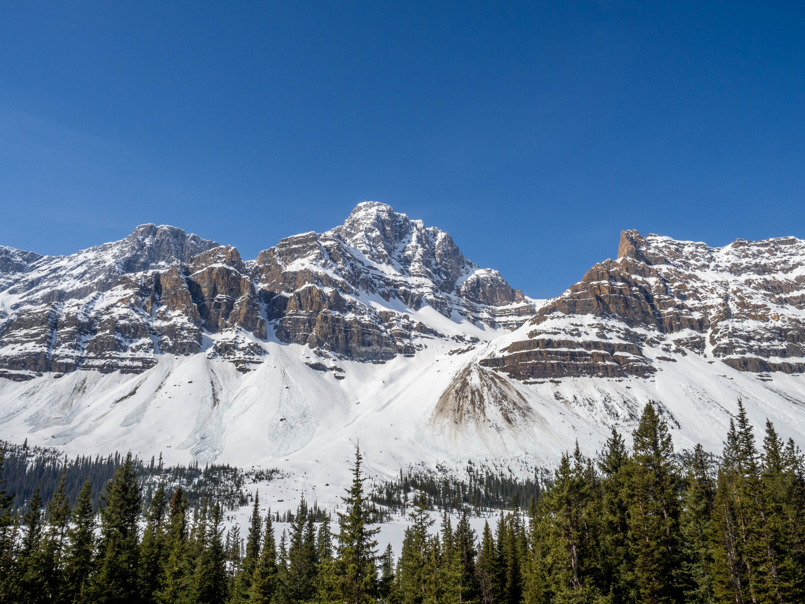 Montagne de l'Icefield parkway au Parc National de Jasper au Canada