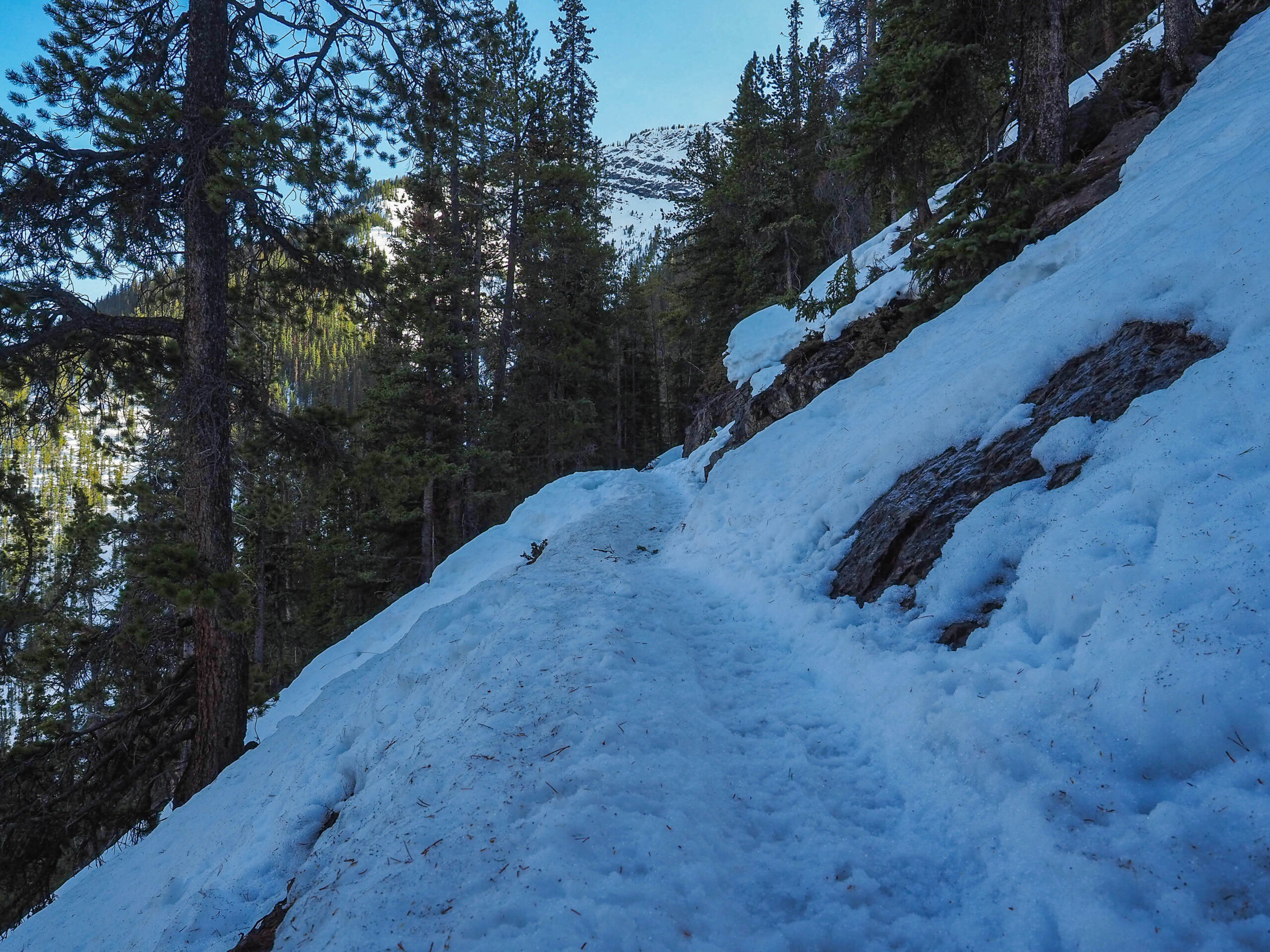 Suplhur Mountain Trail - Banff - Rocheuses Canadiennes