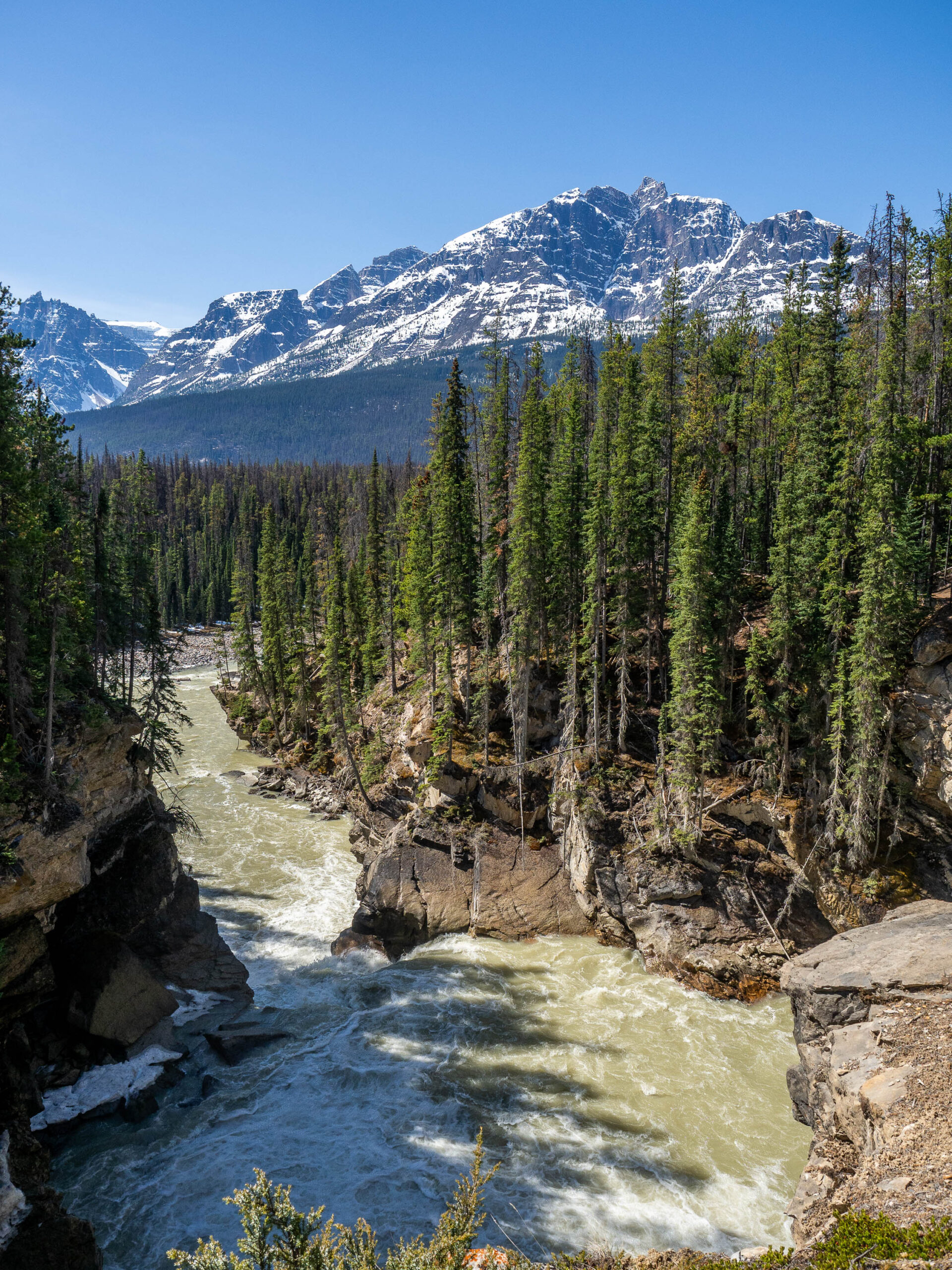 Sunwapta Falls Lower aux Rocheuses Canadiennes