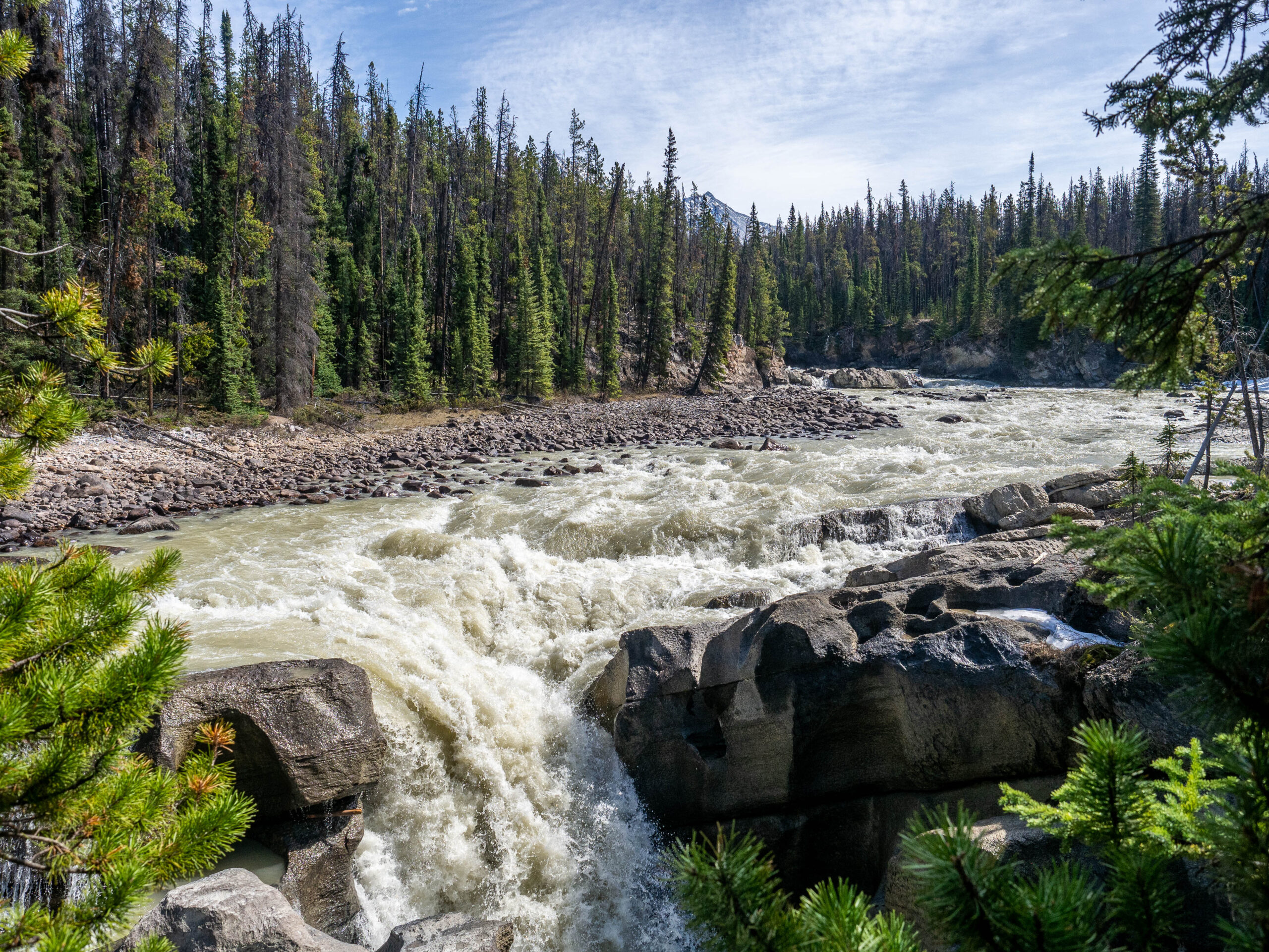 Sunwapta Falls Lower aux Rocheuses Canadiennes