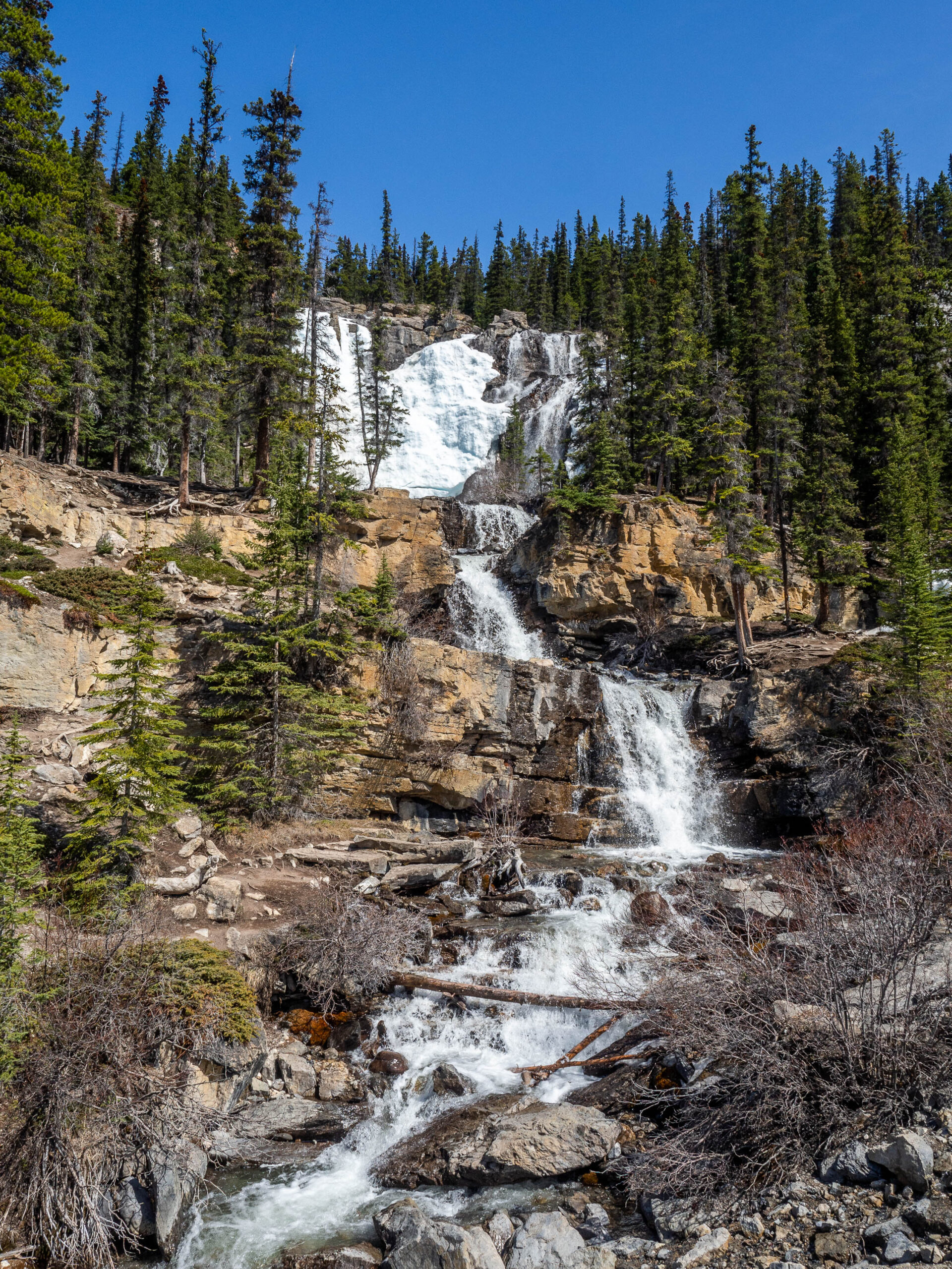 Tangle Creek Falls aux Rocheuses Canadiennes