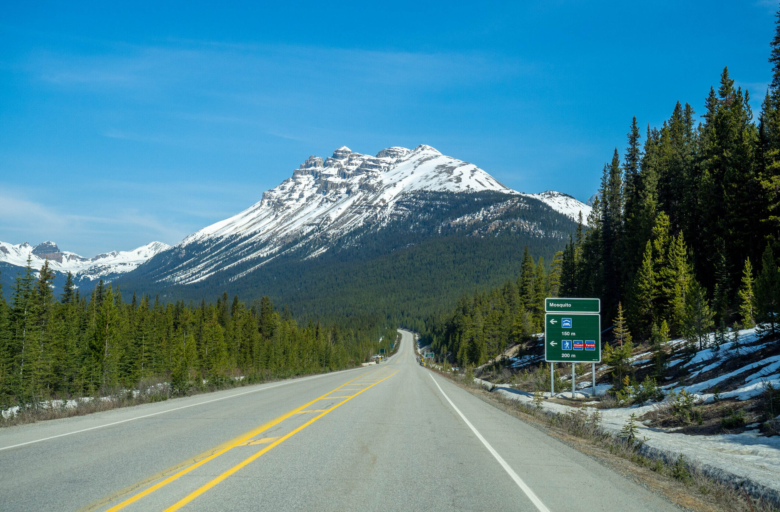 Route du parc national de Banff - Rocheuses Canadiennes