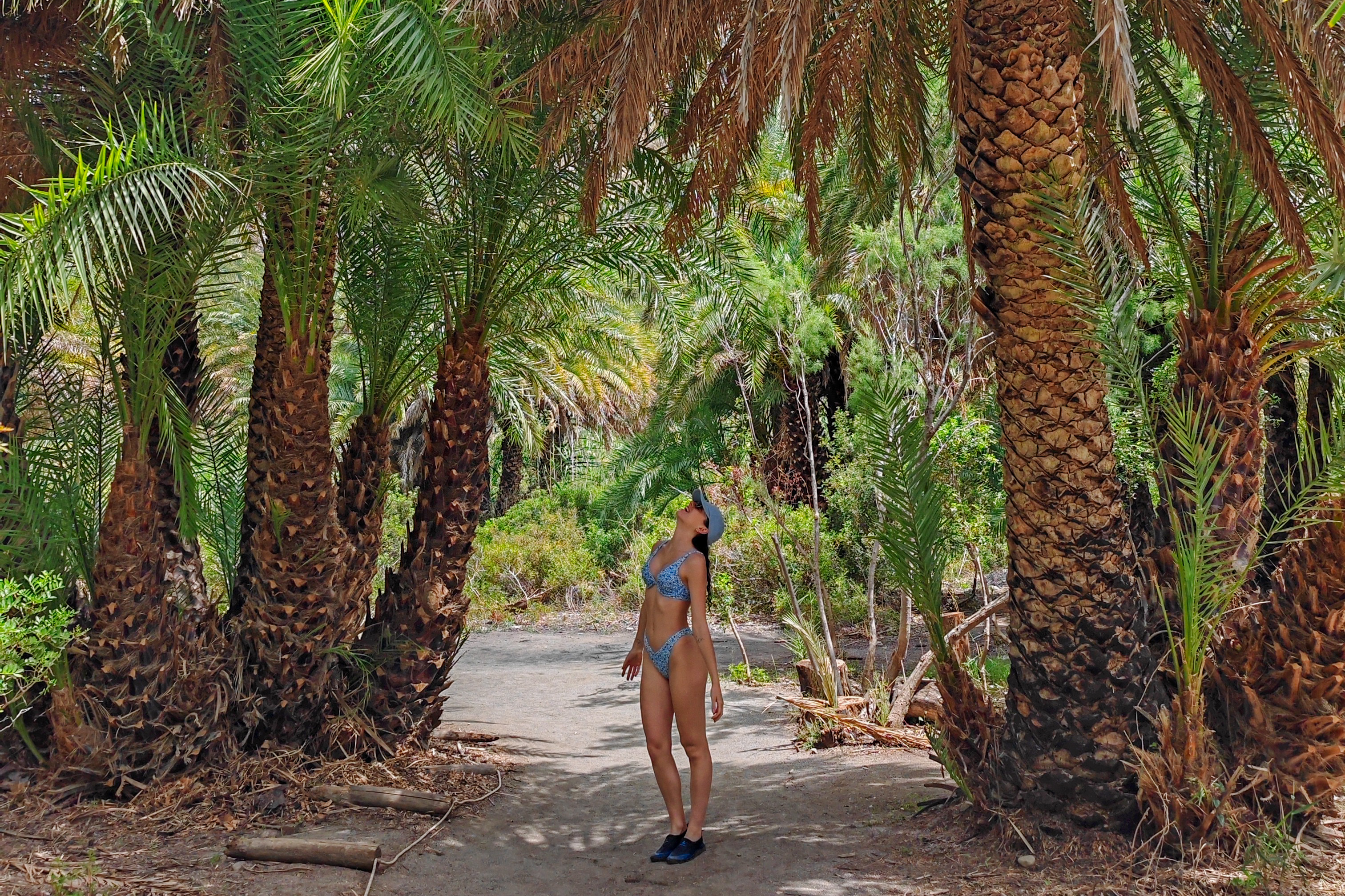 jeune fille qui se balade en maillot de bain dans la foret de palmier sous le soleil