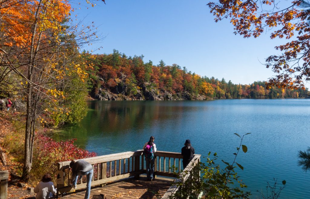 personnage sur un ponton face au lac pink d'Ottawa